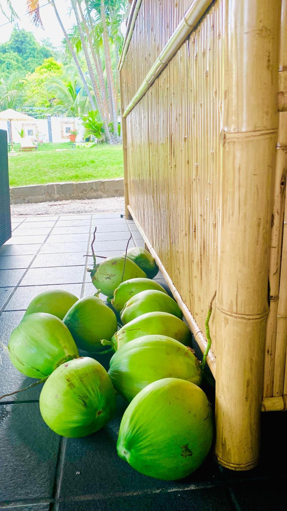 Jaguar House Resort Muine Муйне Экстерьер фото